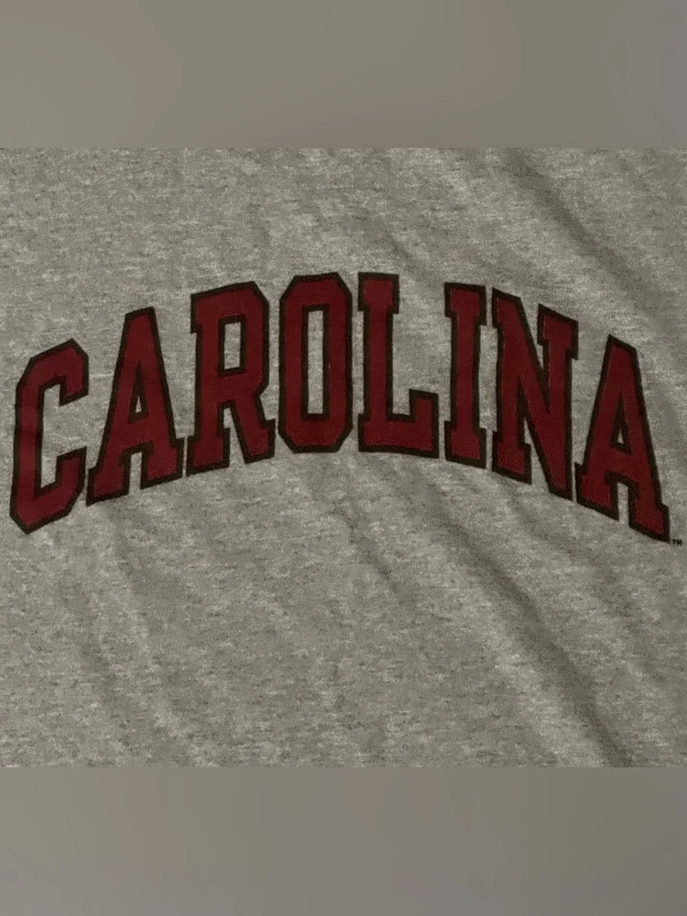 Champion Gray Tee Men’s Medium CAROLINA Arch Logo South Carolina Game Cocks NCAA - Picture 2 of 6